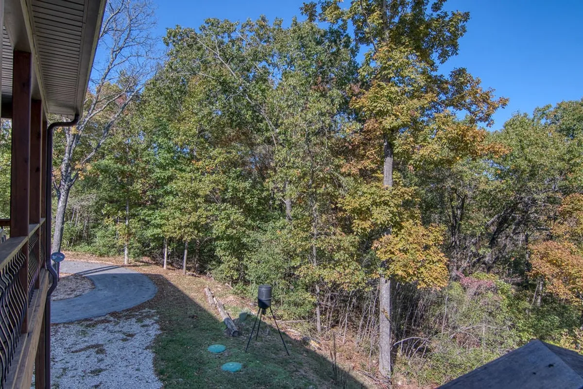 This exterior image features a gravel pathway winding through dense pine trees with a wildlife feeding station visible in the scene. The natural setting suggests possibilities for nature walks, birdwatching, and wildlife observation, all surrounded by the tranquility of the woods.