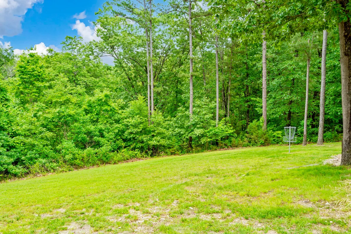 A disc golf basket rests amid lush greenery and tall trees, set in a peaceful, sun-dappled clearing. Families or groups can enjoy a friendly game while immersed in the scenic outdoors.